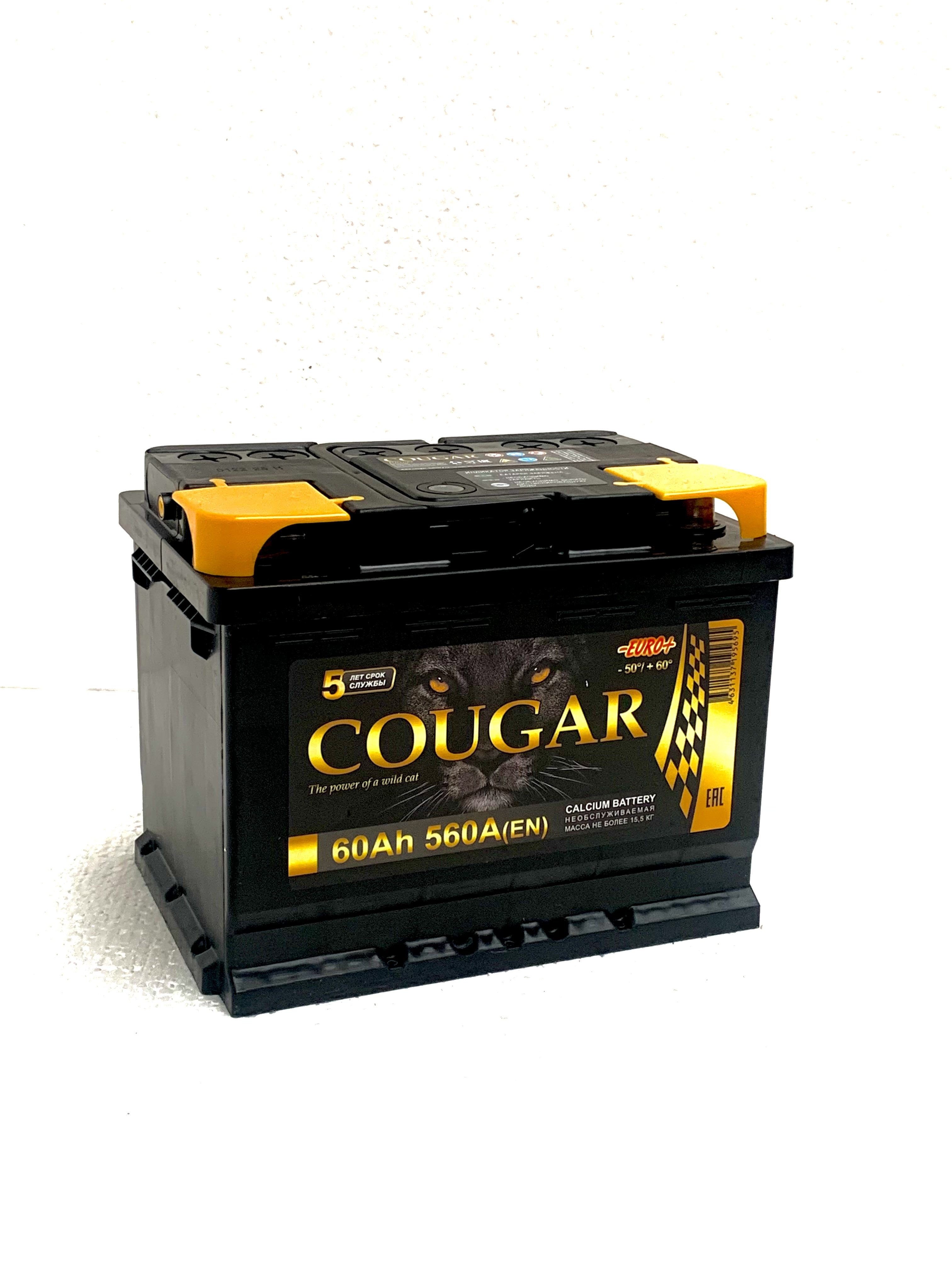 Power 60 Euro.heic