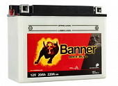 BANNER BIKE Bull 20+элект Y50-N18L-A 205х90х162