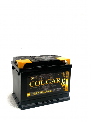 Power 60
