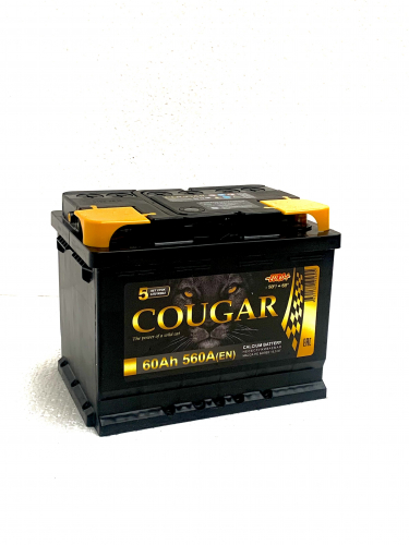 Power 60 Euro.heic